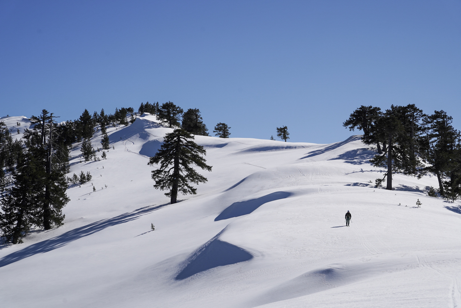Pente au dessus des pins, pinde — périvoli et vasilitsa, lors d’une itinérance à ski en Grèce.